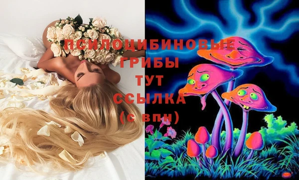 тгк Абдулино
