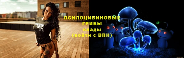 ешки Абинск