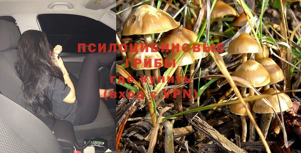 тгк Абдулино