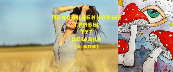 ешки Абинск