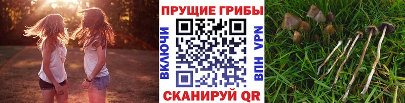 hydra как зайти  Заволжье  Галлюциногенные грибы Psilocybe  закладки 
