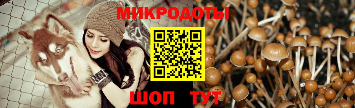 Псилоцибиновые грибы прущие грибы  Вход с VPN  Псилоцибиновые грибы Psilocybine cubensis  Заволжье 